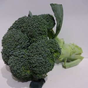 Broccoli head