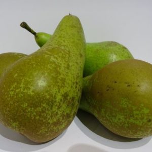 Pears conference each