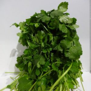 Herb coriander bunch