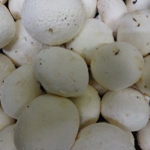 Mushrooms cup 200 grams