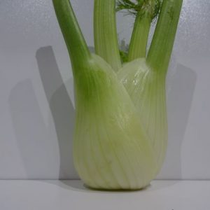 Fennel bulb