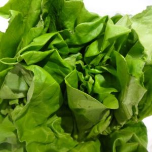 Lettuce round each