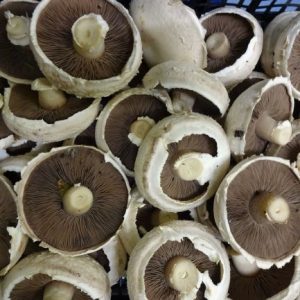 Mushrooms breakfast 200 grams