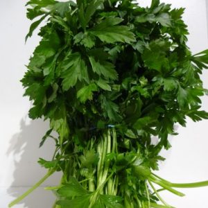 Herb flat leaf parsley bunch
