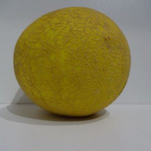 Melon galia each