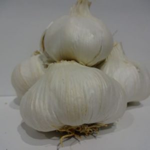 Garlic bulb