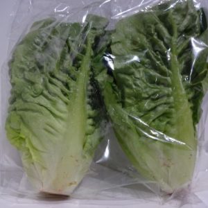 Lettuce little gem twin pack