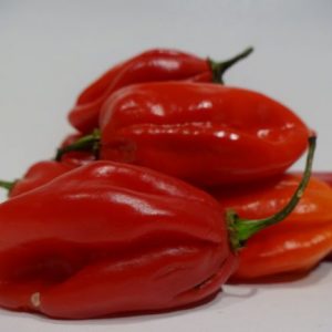 Chillies habenero/scotch bonnet 100 grams