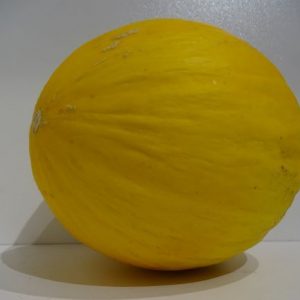 Melon honeydew each