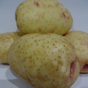 Potatoes for jacketing each
