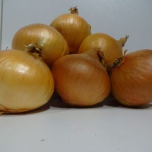 Onions 500 grams