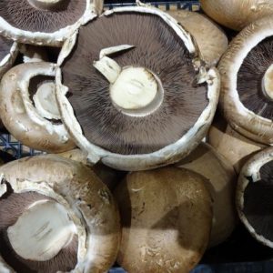 Mushrooms Portobello 200 grams
