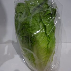 Lettuce cos/romaine each