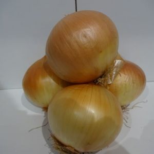 Onion large mild