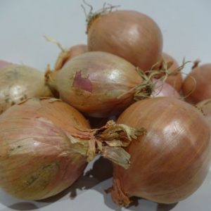 Shallots 500 grams