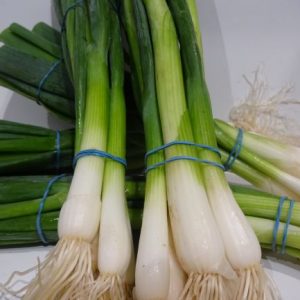 Spring onions bunch
