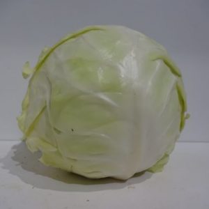 Cabbage white each