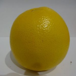 Grapefruit each
