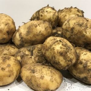 Potatoes new 1 kilo