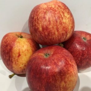 Apples royal gala each