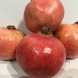 Pomegranate